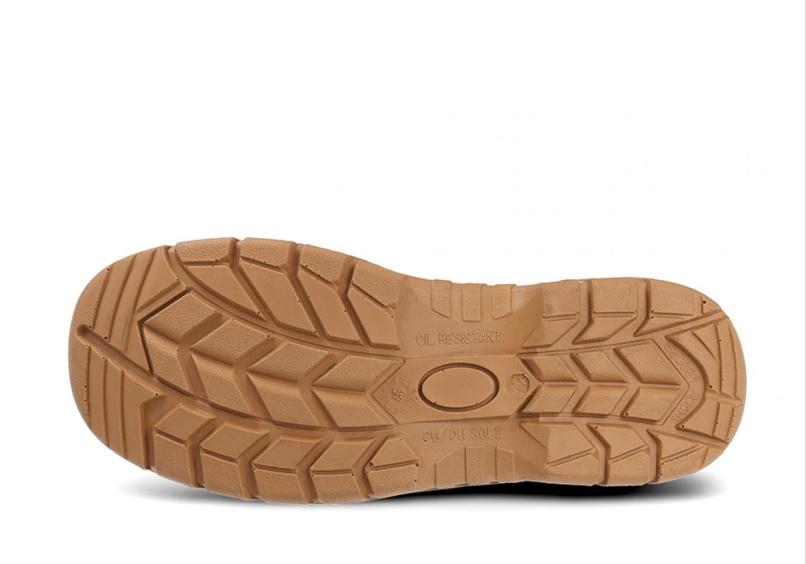 SP5091 TERRA