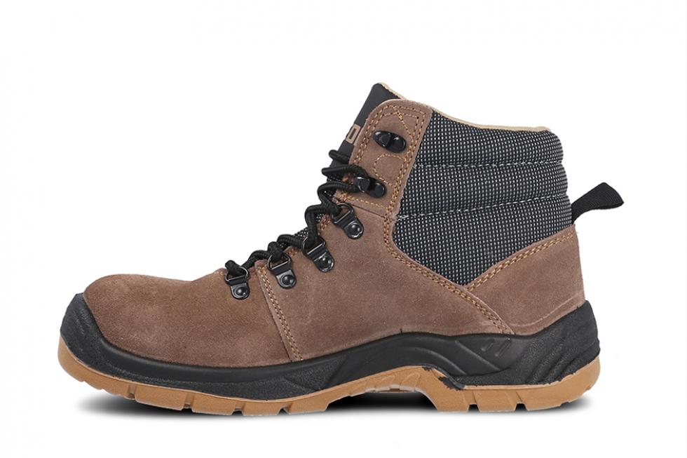 SP5091 TERRA