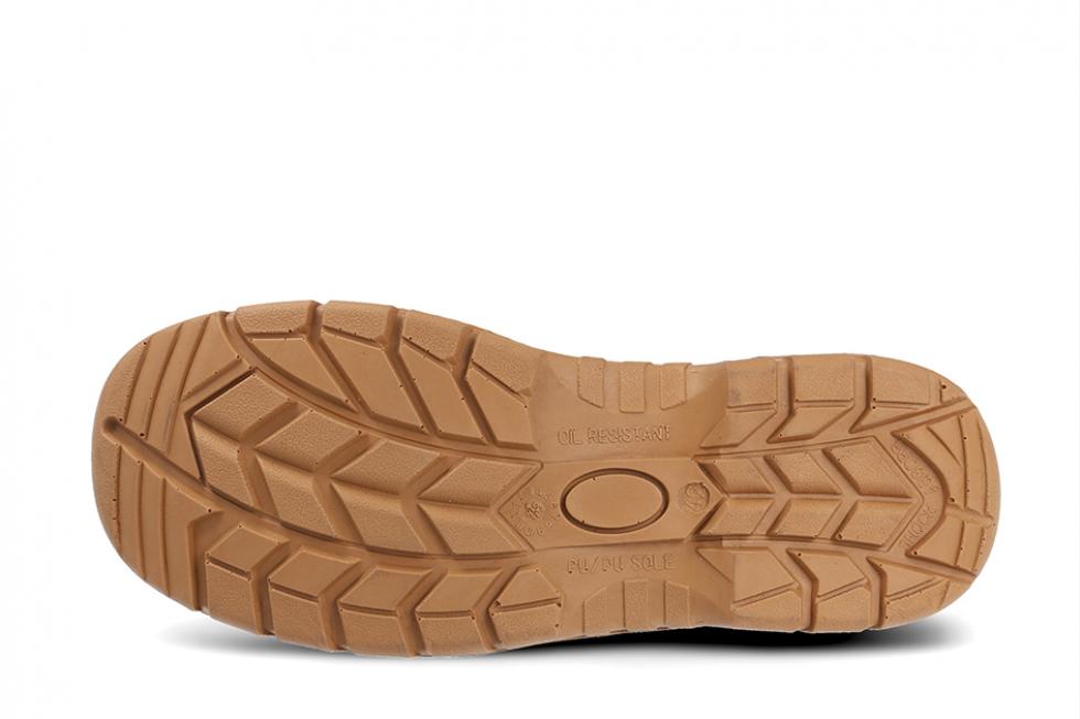 SP5091 TERRA